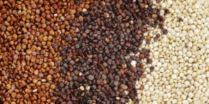 o-types-of-quinoa-facebook-1485209954847