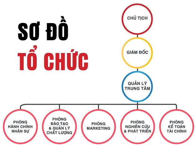 Sơ đồ tổ chức Ngôi Sao Việt